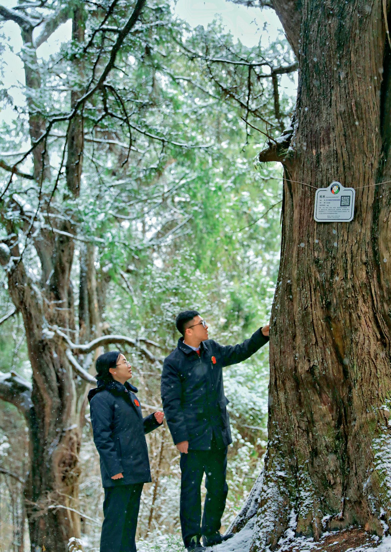 第36页-64.JPG