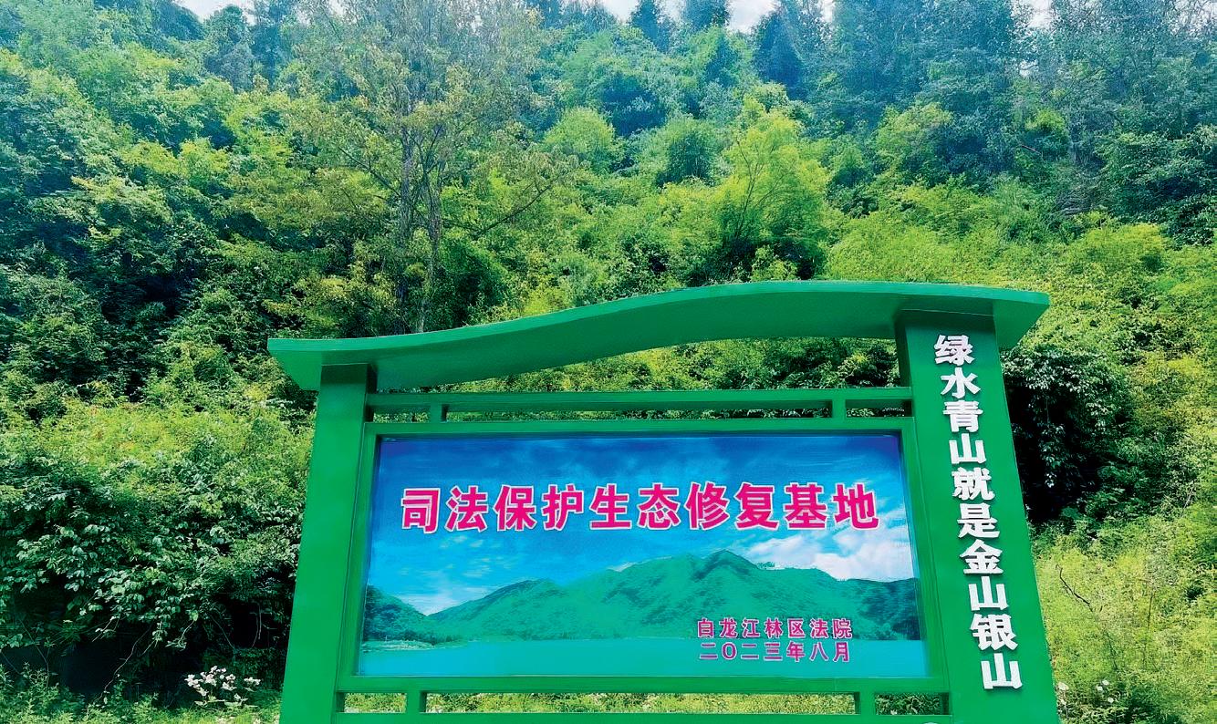 第42页-74.JPG