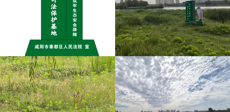 图片 3.png