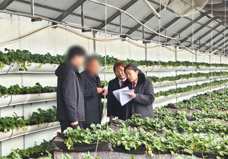 让更多纠纷化解在村落——呼和浩特市新城区人民法院持续打造基层社会治理新“枫”景2.jpg