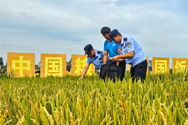 图片4.png