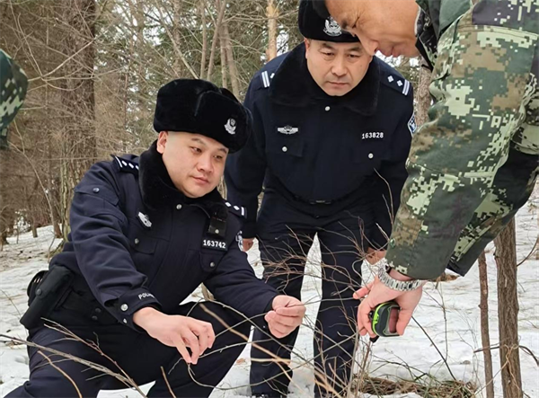 图片16.png
