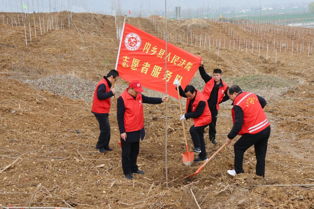 图片11.jpg