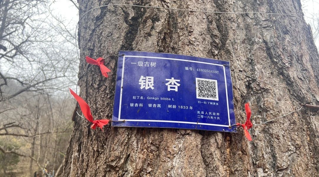 微信图片_20250314214601.jpg