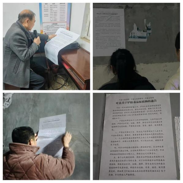 图片37.jpg