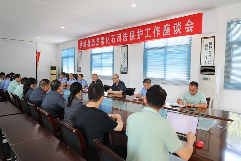 图1为西峡法院召开西峡县恐龙蛋化石司法保护工作座谈会.jpg