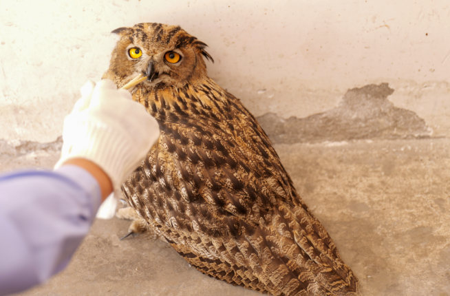 6d797093-25b8-490b-a34f-30583711fa68.png