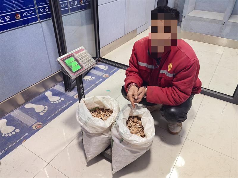 微信图片_20250121105728_proc.jpg