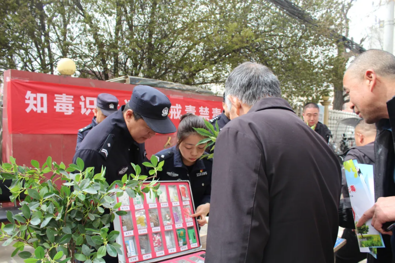 图片11.png