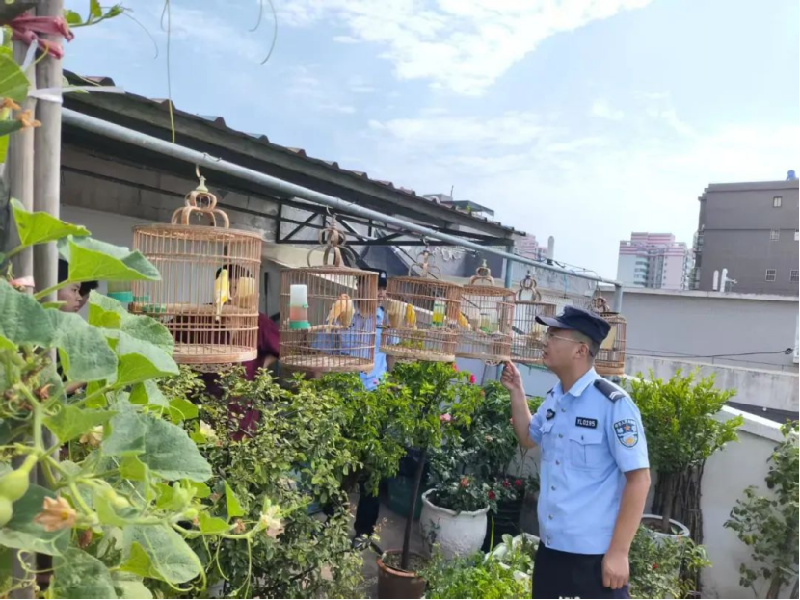 新建 DOCX 文档279.png