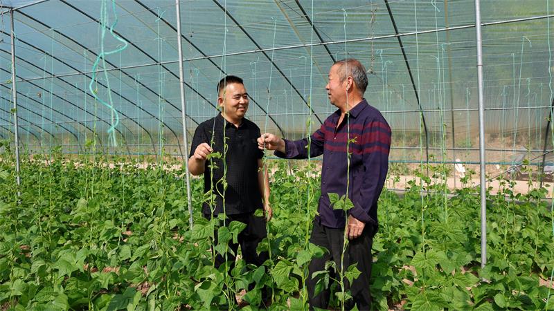 宜川县民政局派驻甘义沟村第一书记李延明向村民了解拱棚种植情况。_proc.jpg