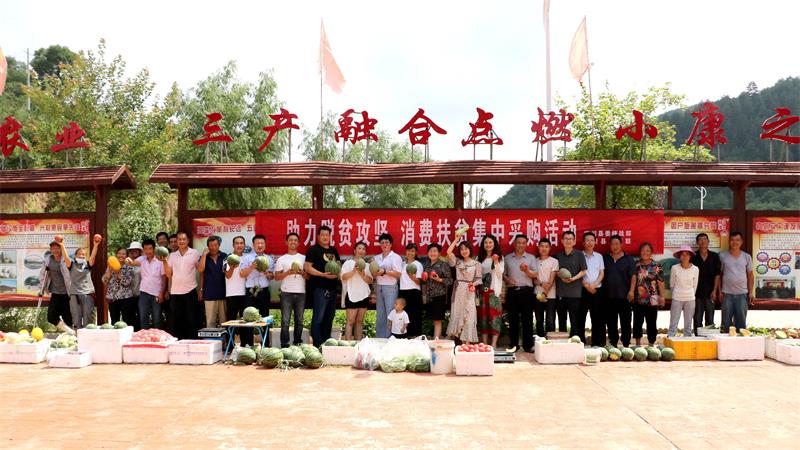 范灵芝（右十一）参加助力脱贫攻坚、消费扶贫集中采购活动_proc.jpg
