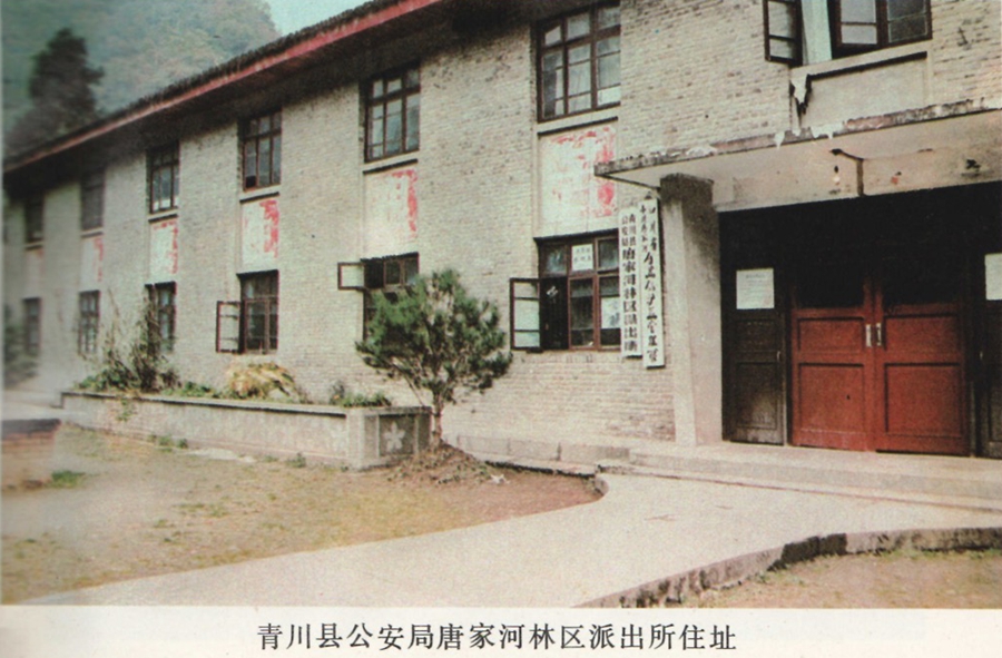 青川1_副本.jpg