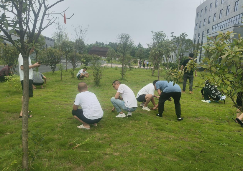 QQ_1753227231025.png