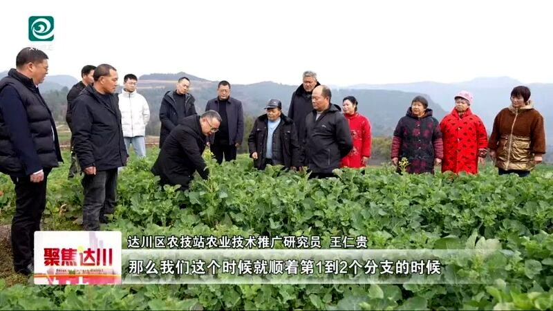 图片 1.png