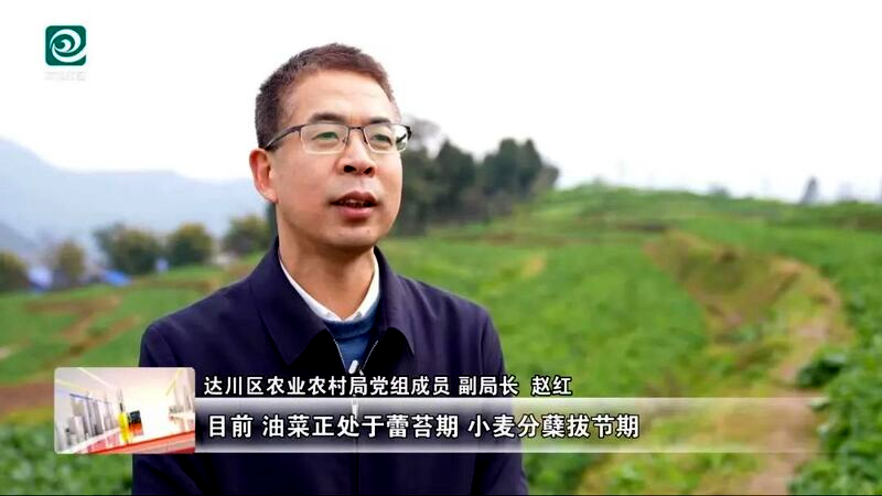 图片 5.png