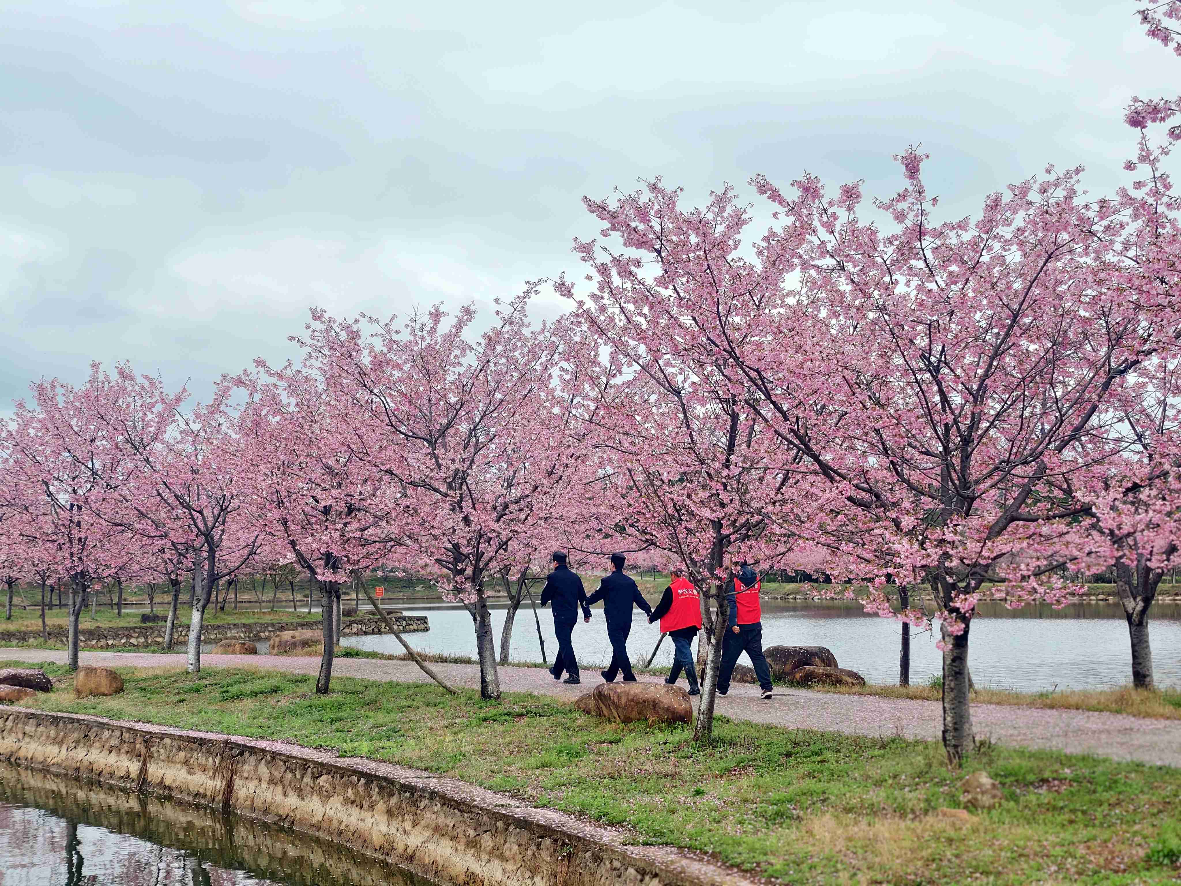 MEITU_20250313_113212428.jpg
