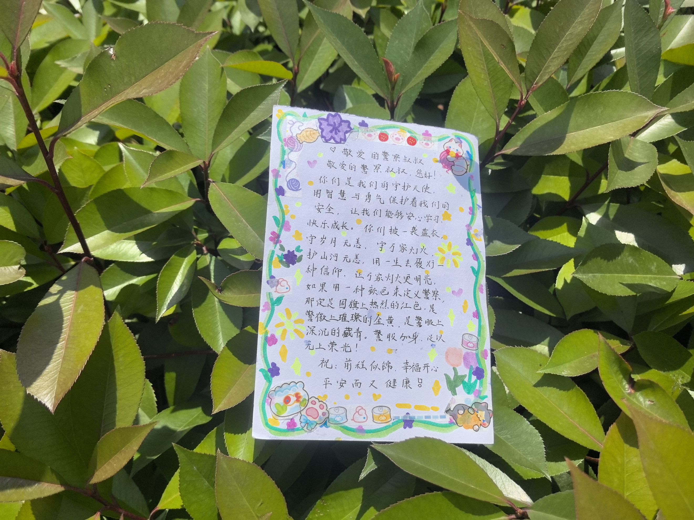 图四（第四段文字配图）.jpg