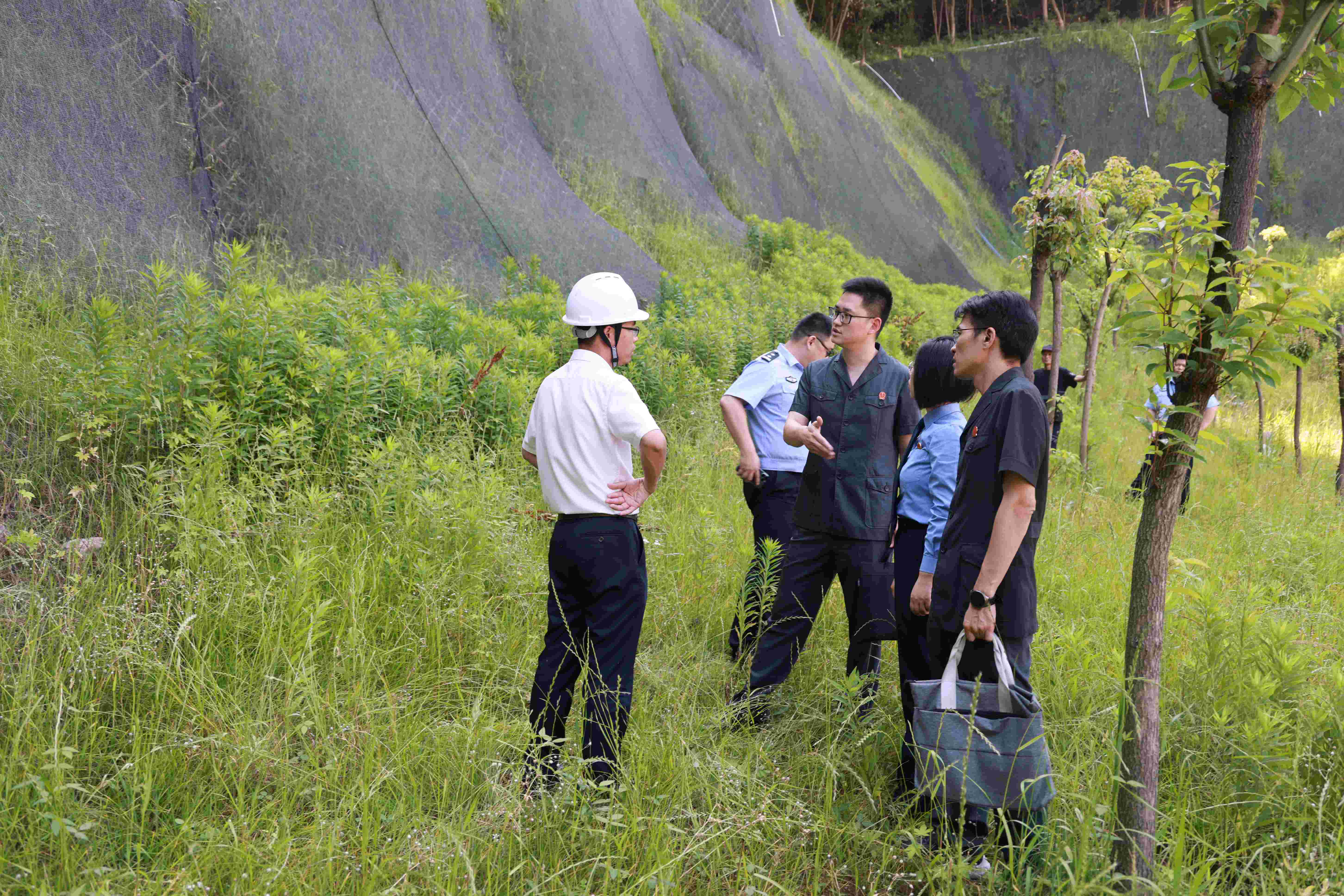 萧山法院法官实地查看补植复绿情况.jpg