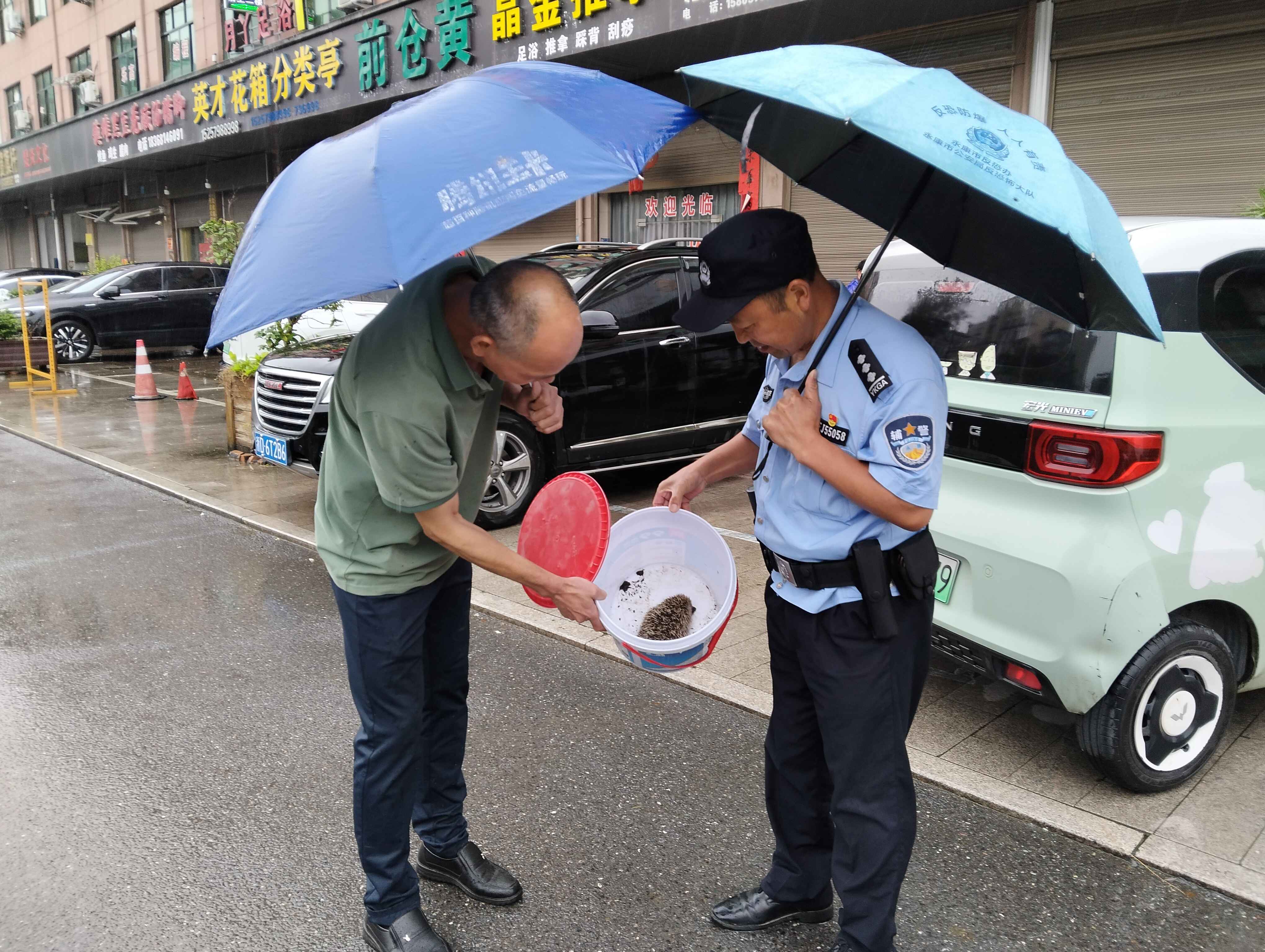 （放第四段后面）村民把捡到的刺猬交给辅警陈亮.jpg