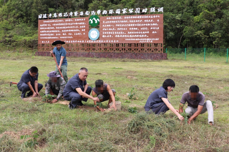 1.法官对3名当事人异地补植复绿进行现场监督。（朗小团 摄）.jpg