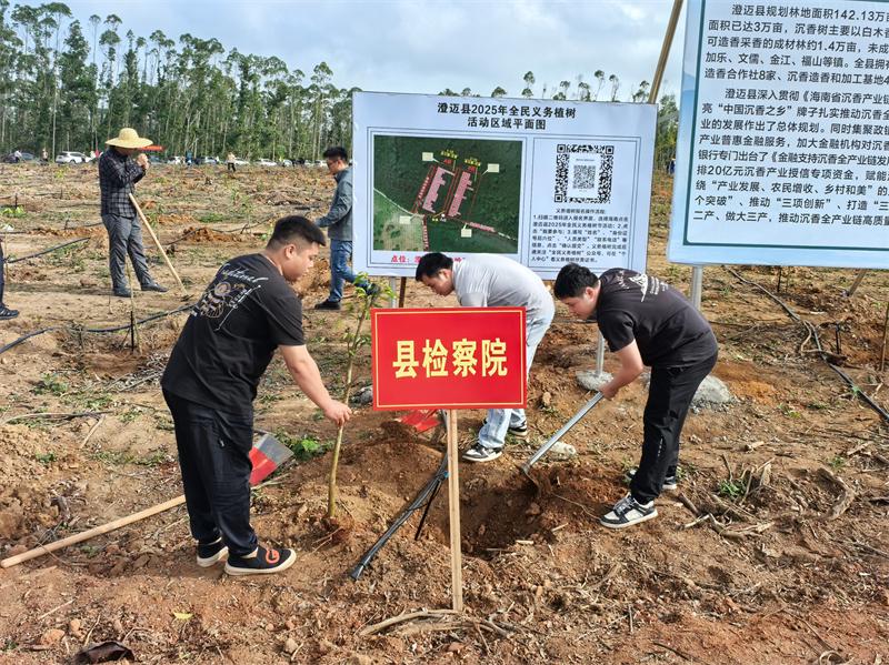 检察干警植树现场1.jpg