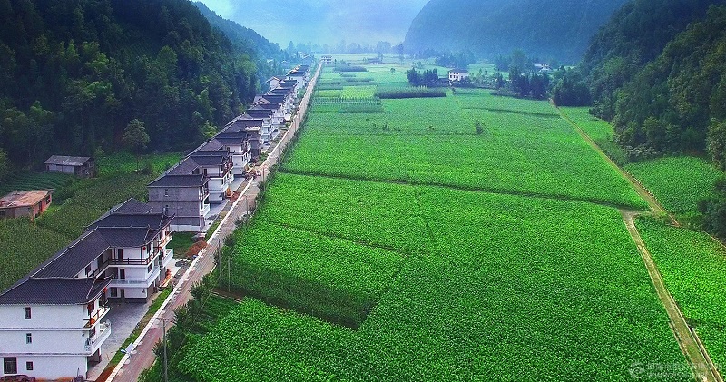 青堡烟叶、民宿产业，绿色家园.jpg