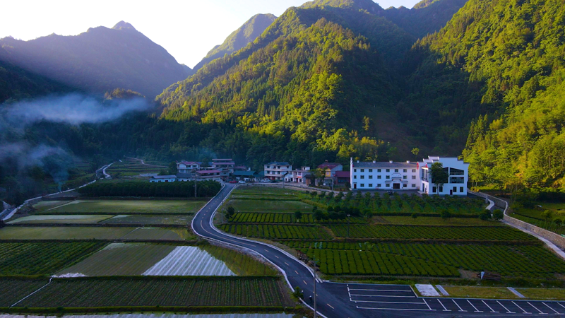 白果乡两河口村阳昌隆组的全景.png
