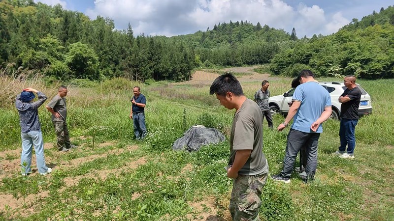白果乡综治中心与市农业农村局、派出所、司法所共同调解土地纠纷.jpg