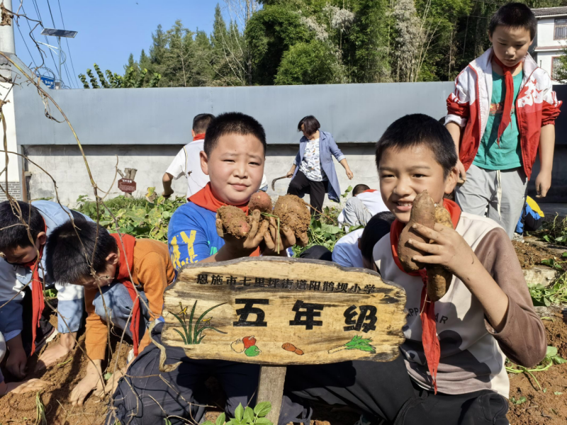 图片3.png