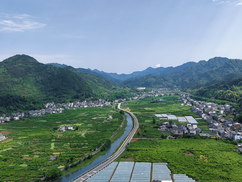 1.万亩贡水白柚基地.jpg