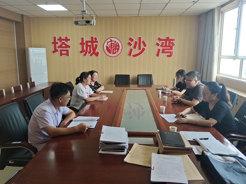专项督查“全扫描” 法治沙湾“强内核”22.jpg