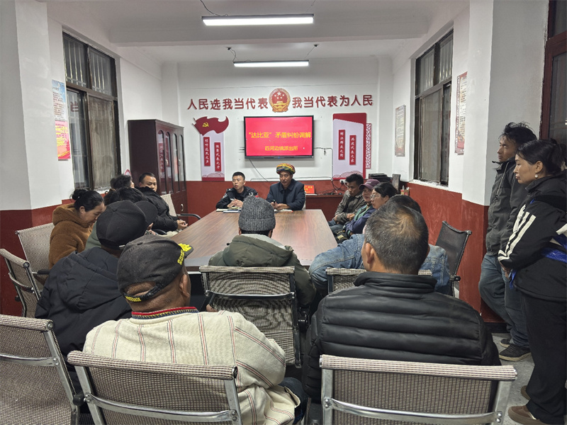 “达比亚”调解.jpg