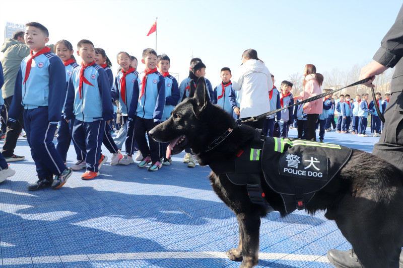 微信图片_20250217201545.jpg